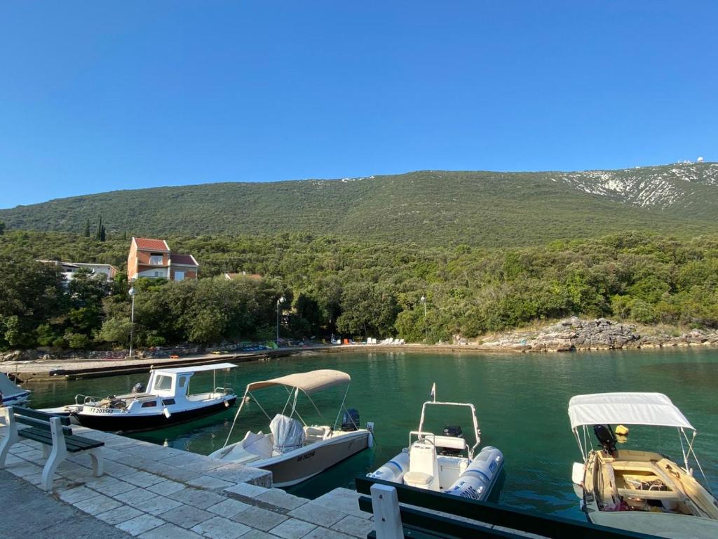 Príroda v okolí apartmánu