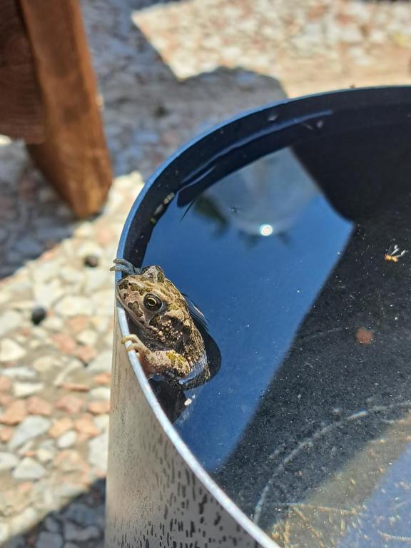 Fotografia z galérie ubytovania Agriturismo La Tortorella v destinácii Macchiascandona