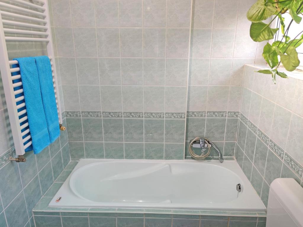 Koupelna v ubytování Dali Apartment Szentendre