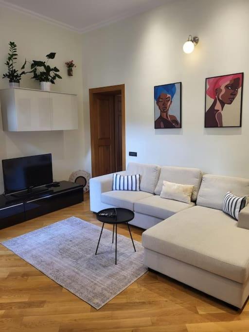 a living room with a couch and a tv at Sophie's Place in Braşov