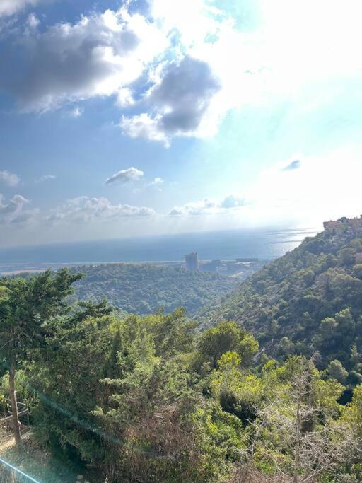 a view of a hill with trees and the ocean at Simply with love-haifa in Haifa