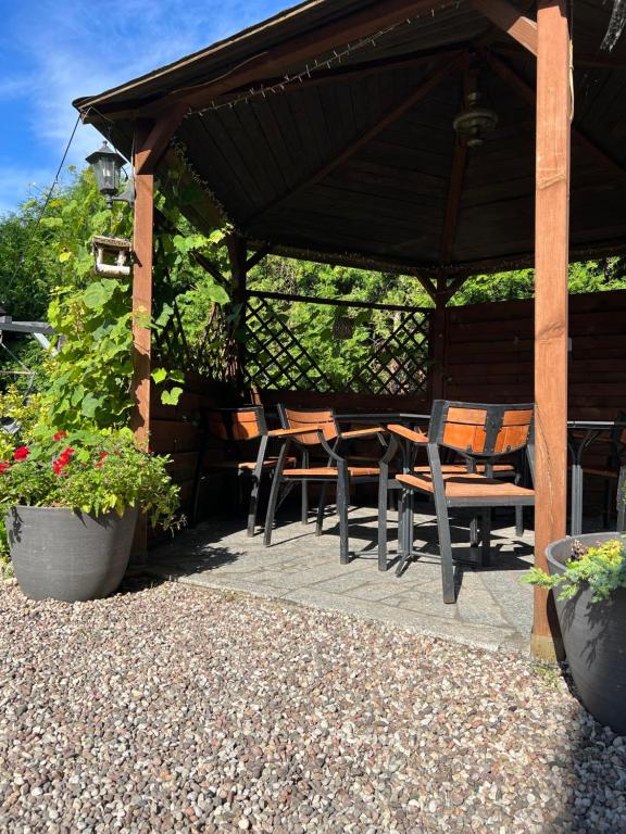 Zahrada ubytování Motel Orzeł
