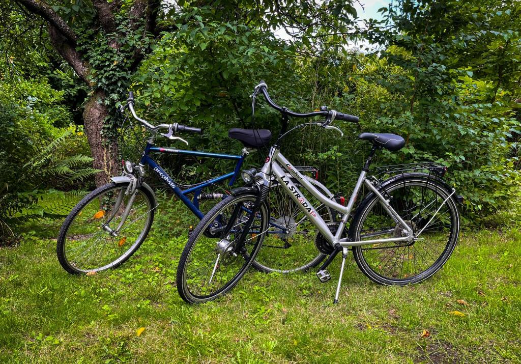 Ferienwohnung Hitzacker/Elbe - Apartamento De 1 Quarto