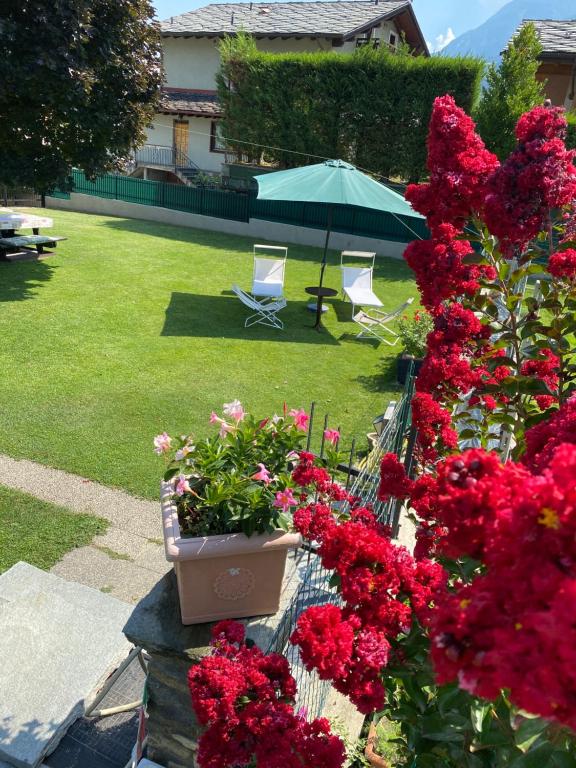 A garden outside Il Tiglio Gressan