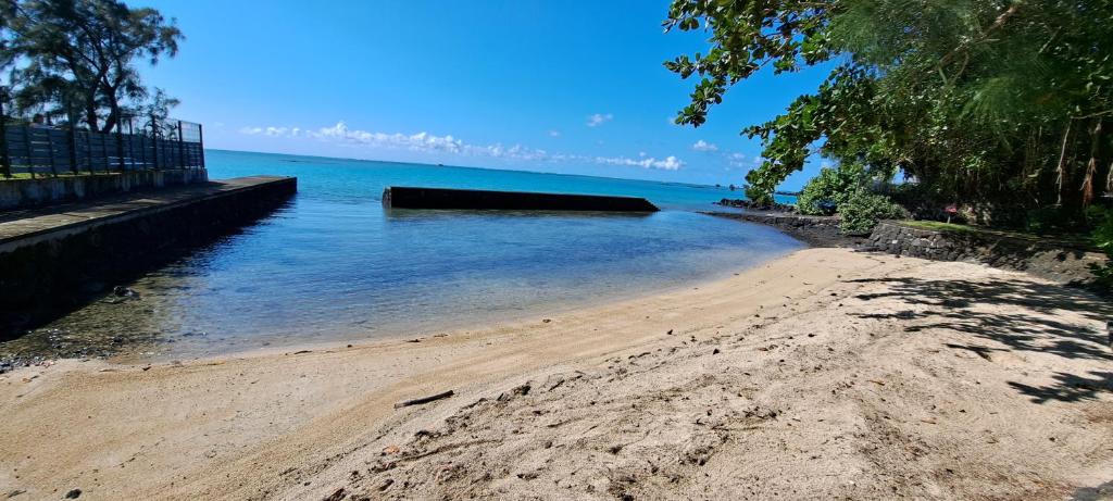 una spiaggia sabbiosa con alberi e una pozza d'acqua di Serenity - Cheerful 2-Bedrooms Beachfront Villa. a Trou d'Eau Douce