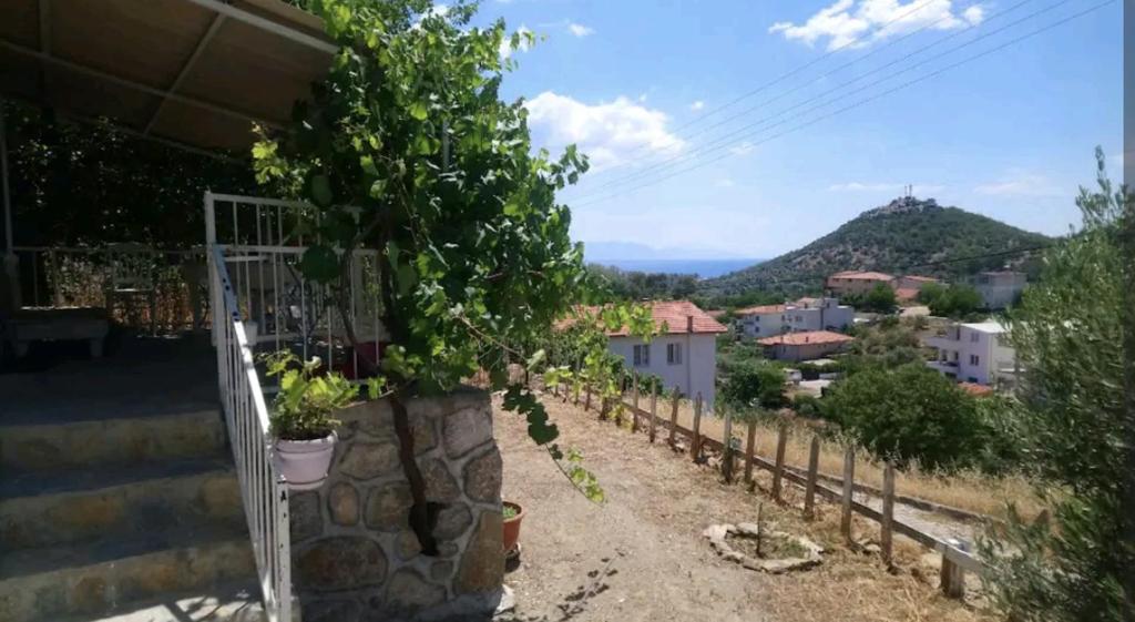 a view of a vineyard from a house at Traditional Stone Cottage in Özdere