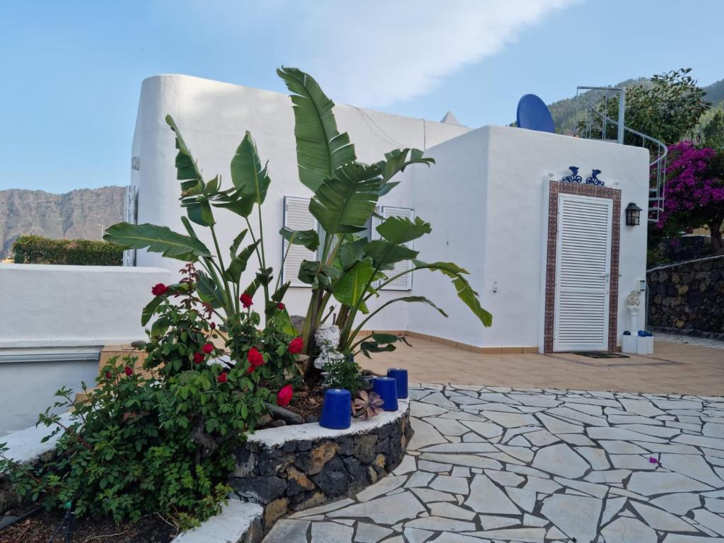 una planta y flores frente a un edificio en Villa Jardines la Quinta en El Paso