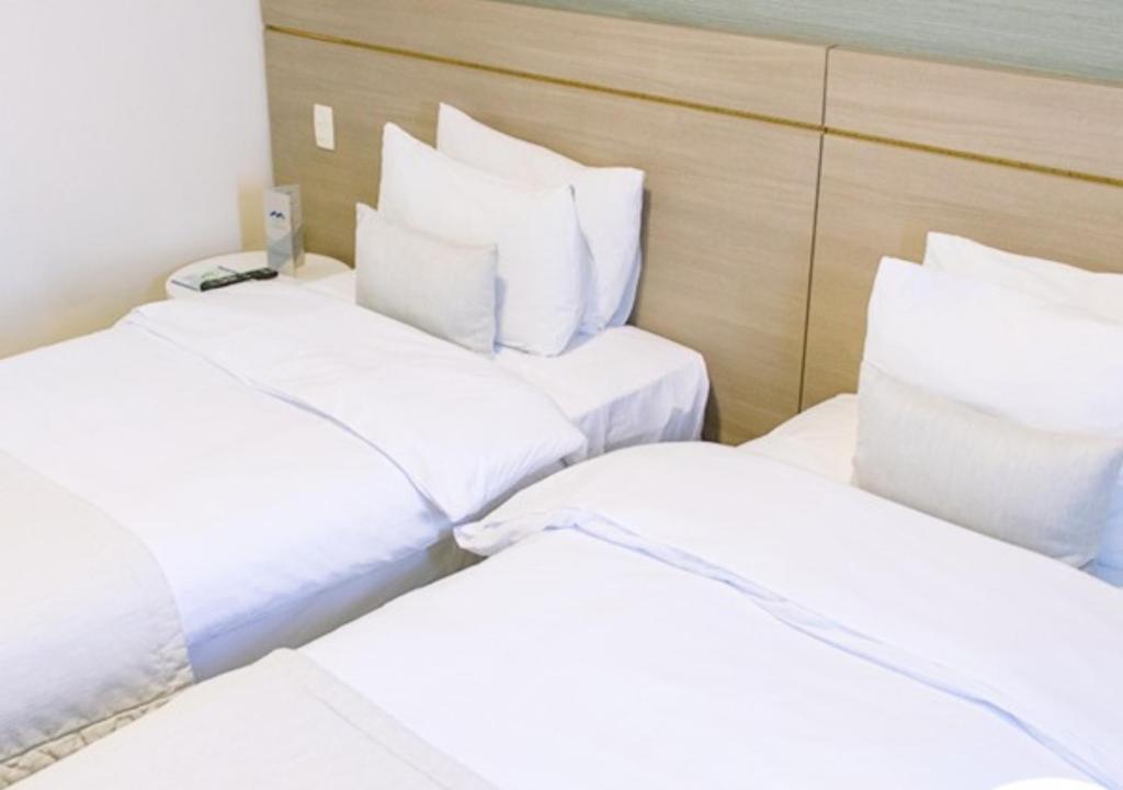 Hotel Adrianópolis All Suites, Manaus – Prețuri actualizate 2023