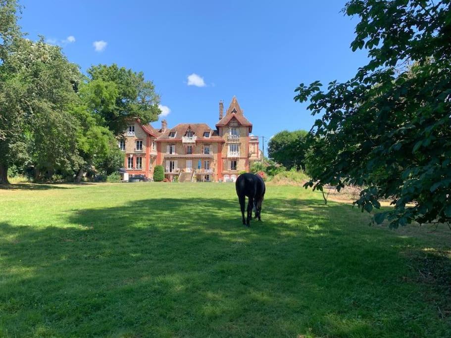une vache noire debout dans un champ devant une maison dans l'établissement Manoir avec son parc de 12000m², à Chaumes-en-Brie