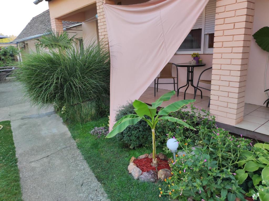 a small tree in a garden in front of a house at Apartman "Vuković" in Bizovac