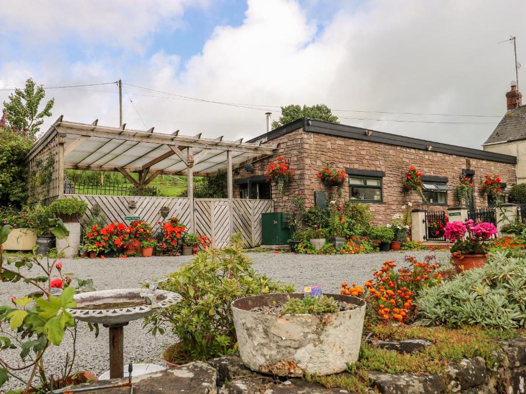 un giardino fiorito di fronte a un edificio di Ffynnonlwyd Cottage a Llangynin