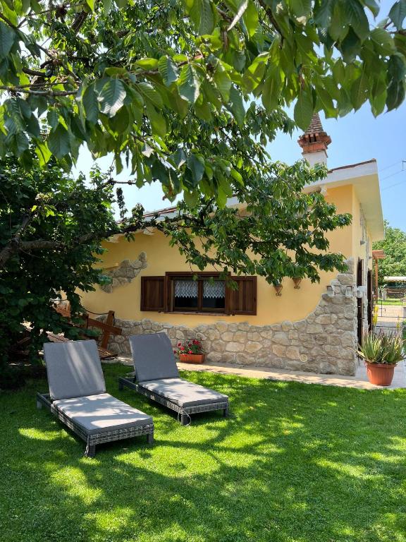 Zahrada ubytování B&B Monte Tavolino
