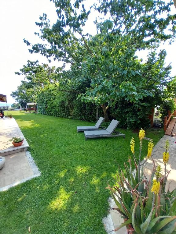 Zahrada ubytování B&B Monte Tavolino