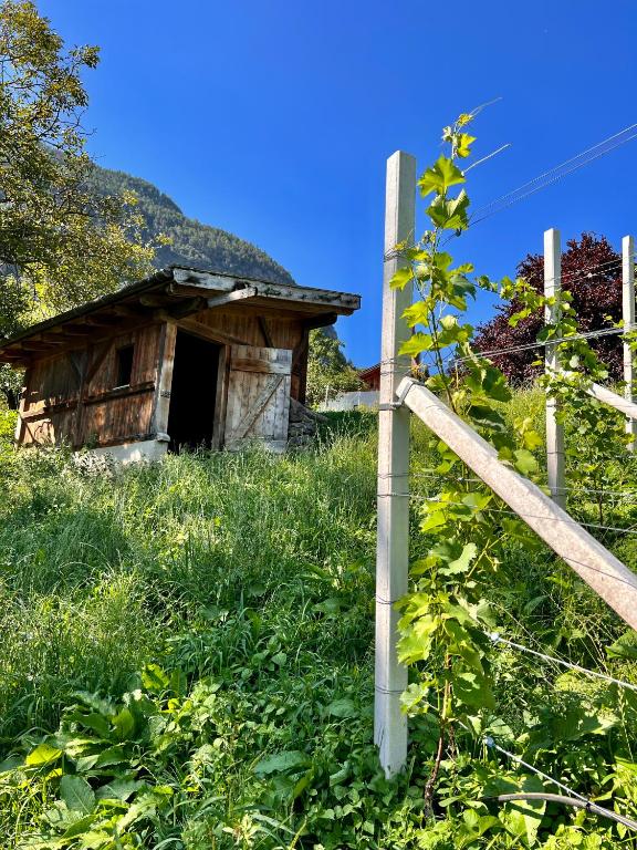 Příroda nedaleko apartmánu