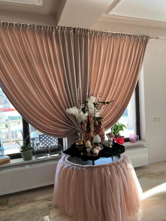 Pensiunea Baroc - Resim 43