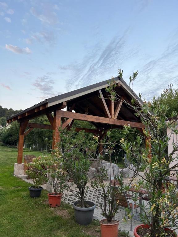 Pensiunea Baroc - Resim 42