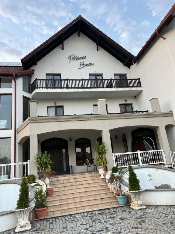 Pensiunea Baroc - Resim 39