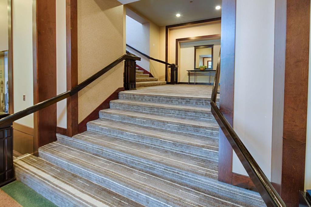 Embassy Suites by Hilton Chicago O'Hare Rosemont photo