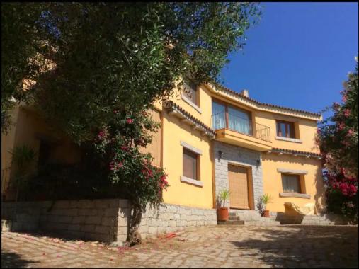 uma casa amarela com uma árvore em frente em Venti di Vacanza - Levante & Grecale em Olbia