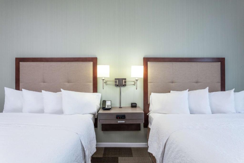 Hampton Inn & Suites - DeLand - 大号床间 - 带两张大号床 - 禁烟