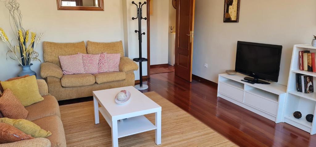 a living room with a couch and a tv at Estudio céntrico con terraza in Xinzo de Limia