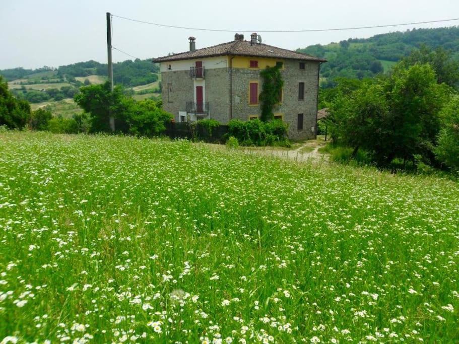 Cento Giorni dall'Artista - Housity