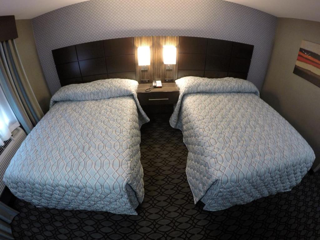 Postel nebo postele na pokoji v ubytování Red Carpet Inn Elmwood