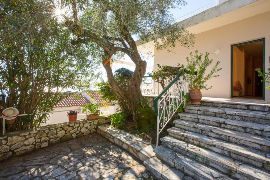 A garden outside Michalis