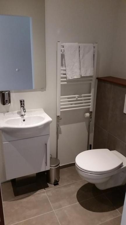 Koupelna v ubytování Apotek Guesthouse