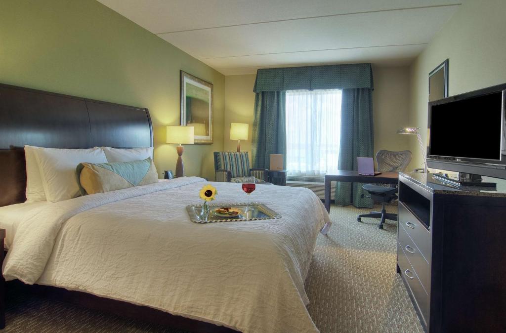 Hilton Garden Inn Houston-Pearland - Chambre Lit King-Size