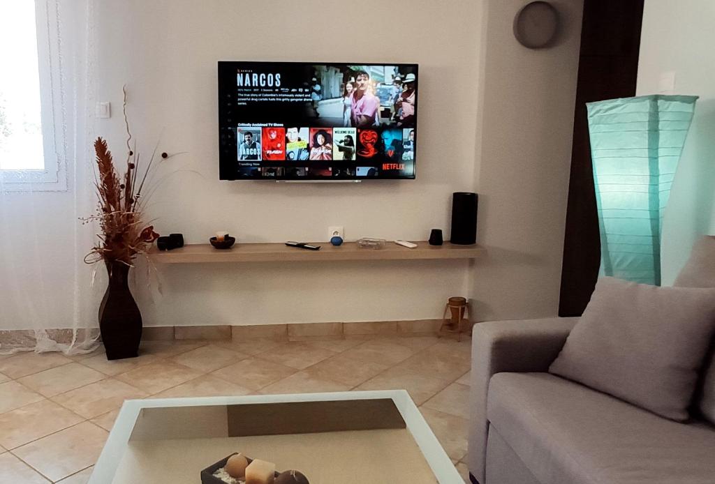 TV a/nebo společenská místnost v ubytování Ellora Suite