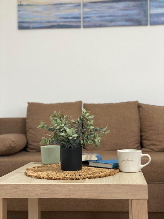 Posezení v ubytování Vikend kuca pod lipom