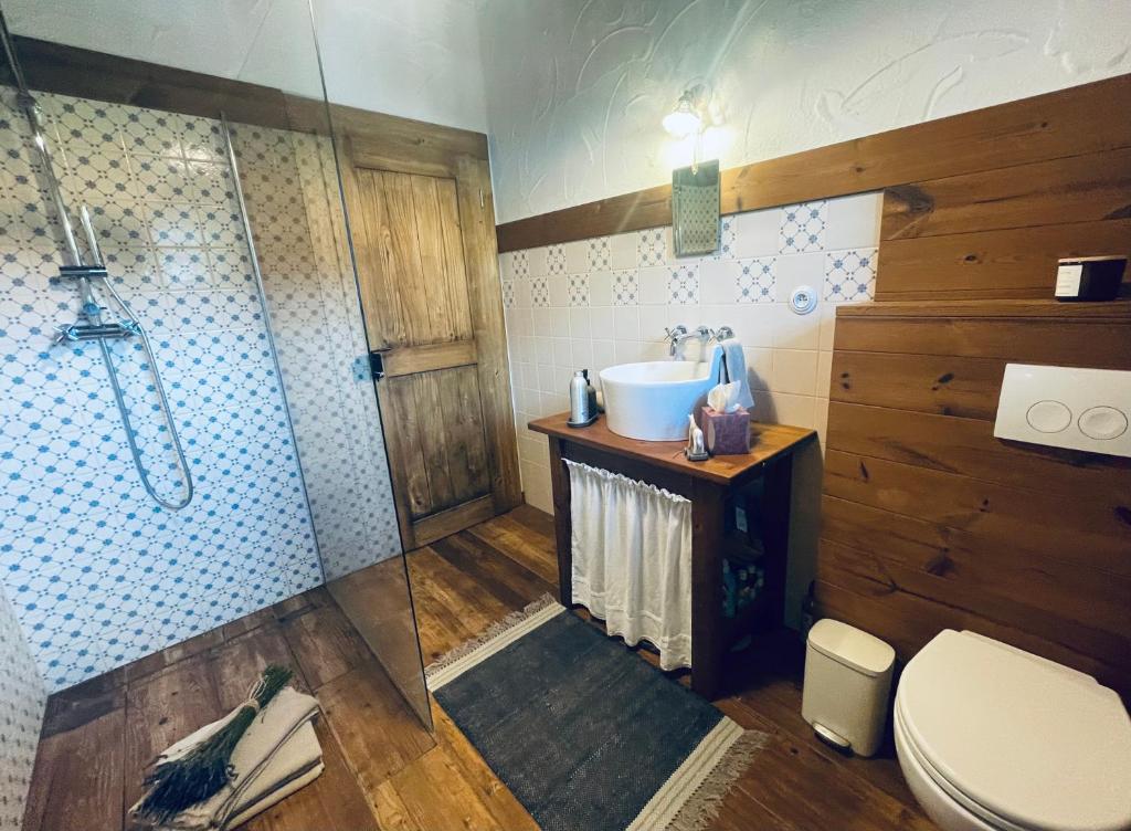 uma casa de banho com um lavatório, um chuveiro e um WC. em Hájenka Libín em Prachatice