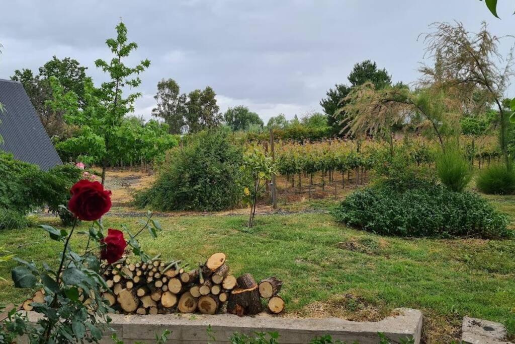 un jardín con un montón de troncos y una rosa en Cabaña de huéspedes en un microviñedo familiar, en Rauco