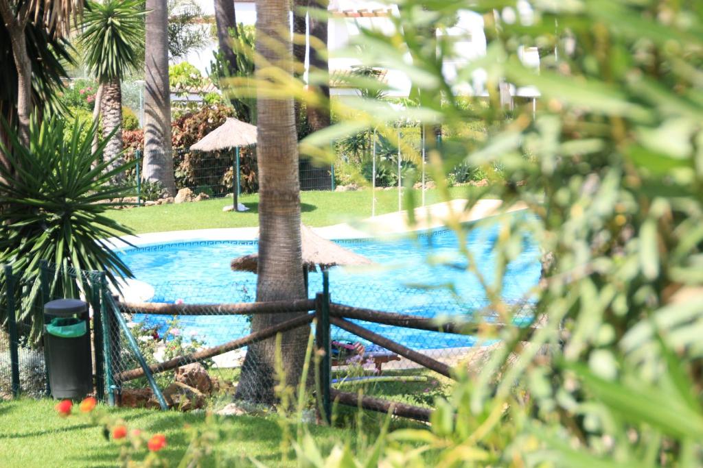 a swimming pool in a park with a palm tree at Chalet adosado en urbanización con piscina in Estepona