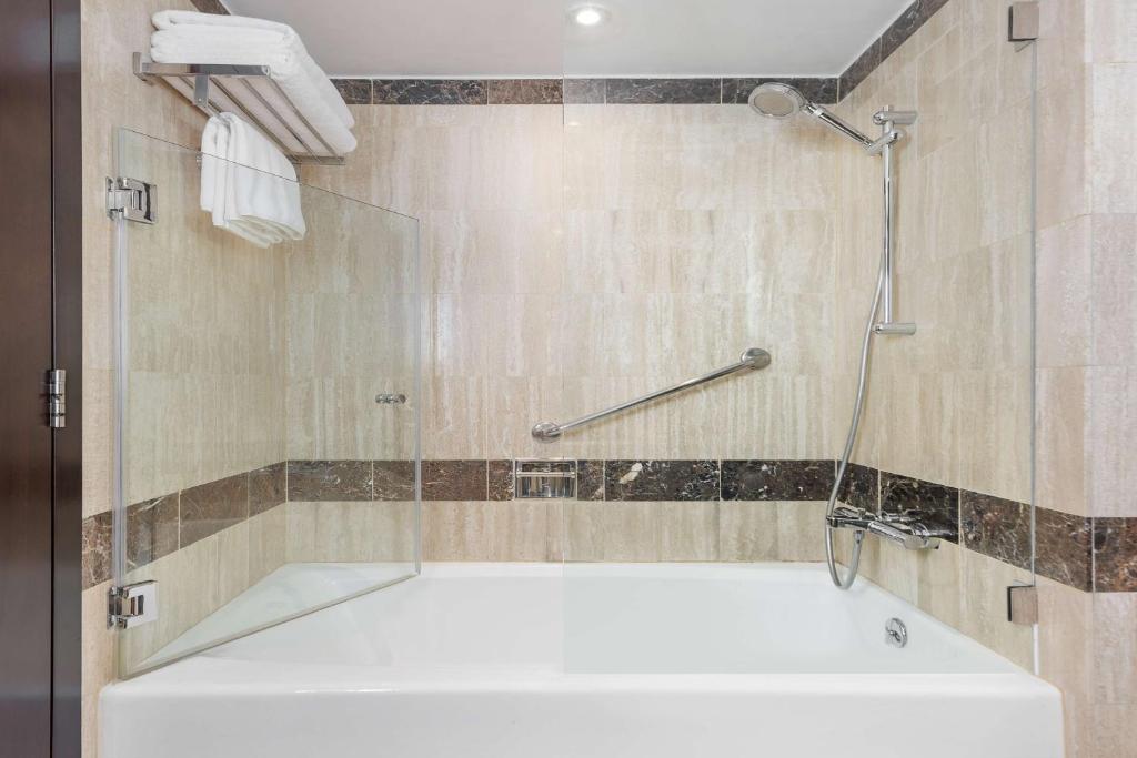 Radisson Blu Hotel, Dubai Deira Creek - Resim 30