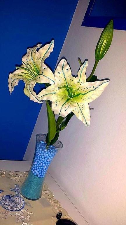 Bed&Breakfast La Cornucopia - 11