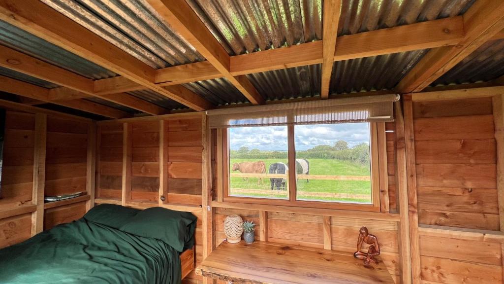 Cosy Little Hut في لاونسستون: غرفة نوم في كابينة خشب مع نافذة