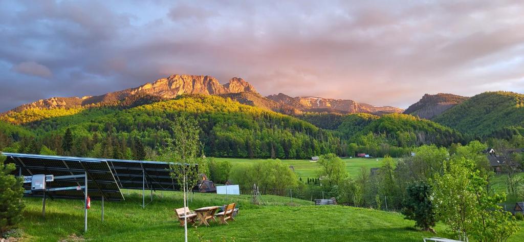 a field with a mountain in the background at Grazynka in Zakopane