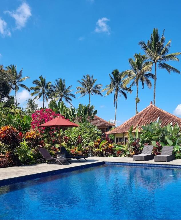 a pool at the resort at Sava Eco Retreat in Padangan