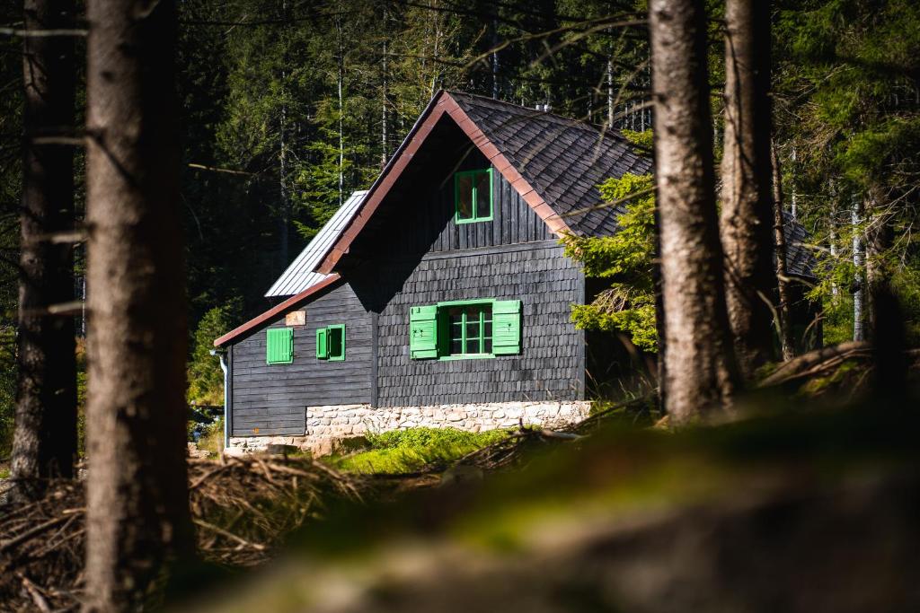 a small house with green windows in the woods at Chata POUSTEVNA ( Střelecká ) in Vrbno pod Pradědem