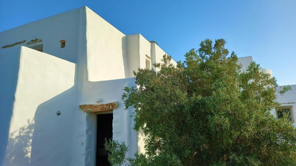 ein weißes Gebäude mit einem Baum davor in der Unterkunft Villa Laguna Blu in Kampos Paros