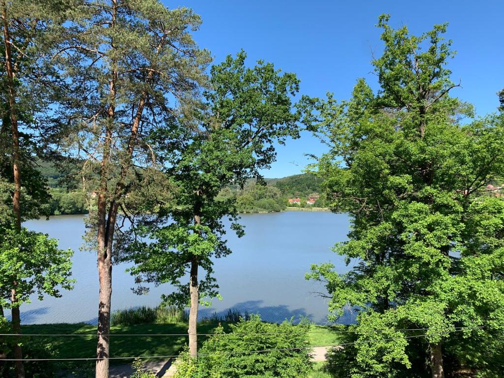 - une vue sur un lac à travers les arbres dans l'établissement Ubytování u Kolóška, à Pístovice