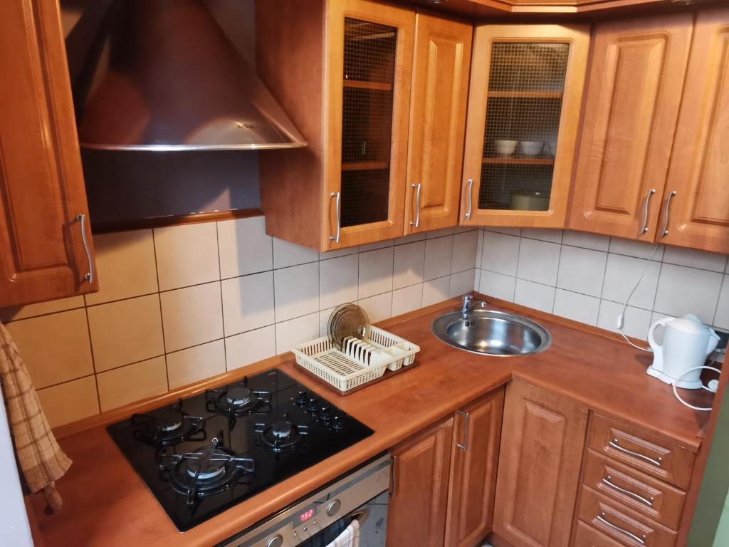 a kitchen with wooden cabinets and a stove and a sink at Apartament na Rynku w Gnieźnie in Gniezno