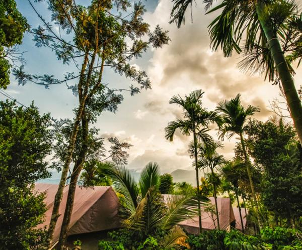 Priroda u blizini kampova s luksuznim šatorima