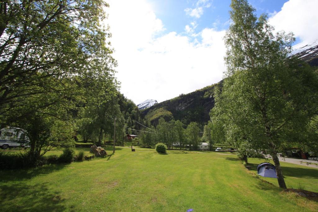 a green field with trees and a mountain in the background at Vinje Camping in Geiranger