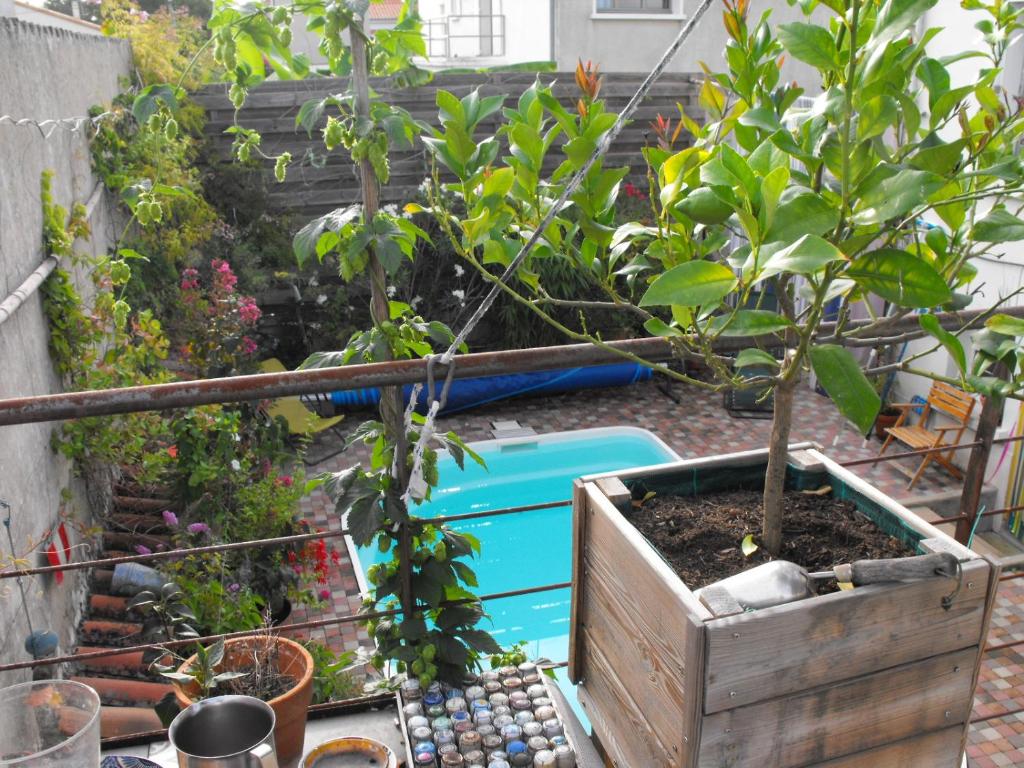 Swimmingpoolen hos eller tæt på Maison de ville terrasse piscine jardin