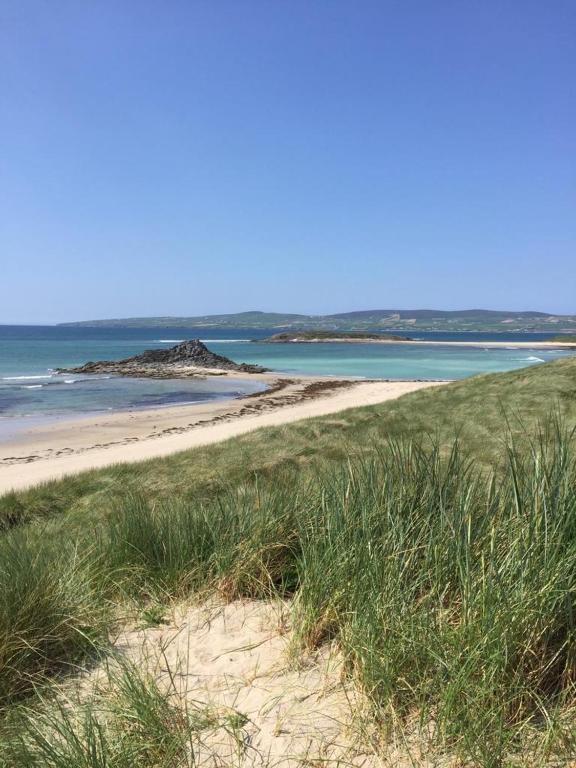 a sandy beach with grass and the ocean in the background at Shanadune in Tralee