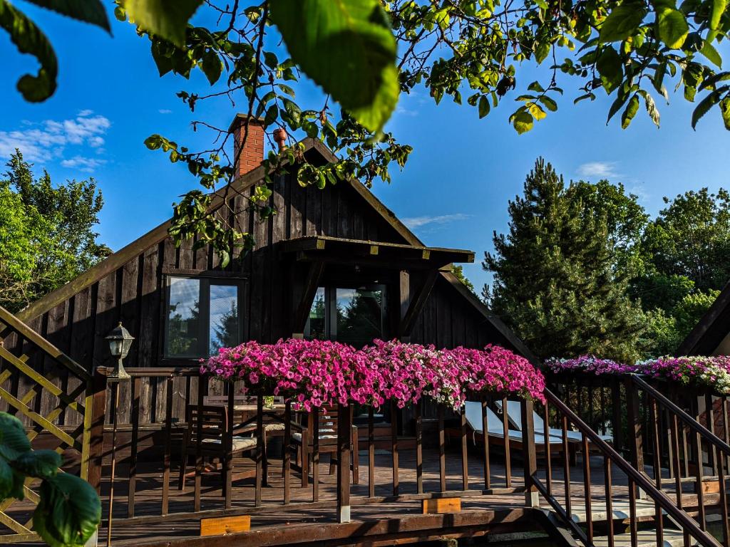 a cabin with pink flowers in front of it at Siedlisko Dzika Kaczka in Płociczno
