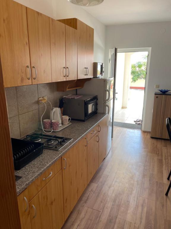 Kuchyňa alebo kuchynka v ubytovaní Apartmani Caganić Villa Bledi